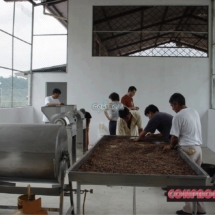 cacao019